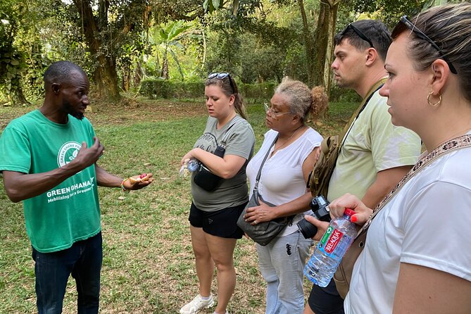 Day Trip Near Accra - Visit Aburi Gardens, Waterfall & Cocoa Farm - Stop 4: Oboadaka Falls, Pine Smell, Birdsong, and the Stair Descent
