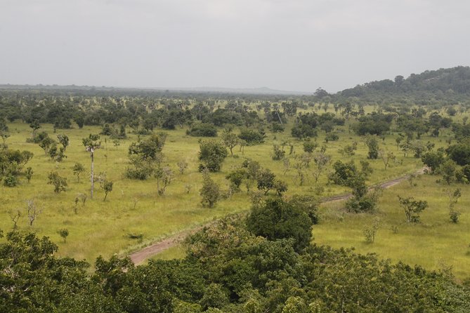 Discover Nature at Shai Hills - Shai Hills Close to Accra, Wildlife Without the Full Day Burden