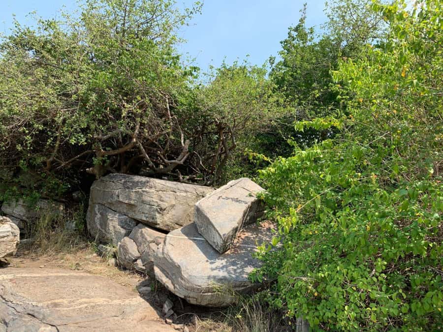 Discover Nature at Shai Hills - Adventure Full Day Trip - Shai Hills Resource Reserve from Coconut Beach, an easy wildlife day in Ghana