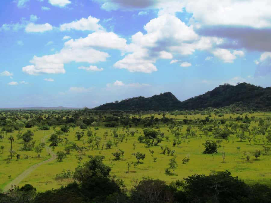 Discover Nature at Shai Hills - Adventure Full Day Trip - Wildlife spotting that is realistic, not just wishful thinking