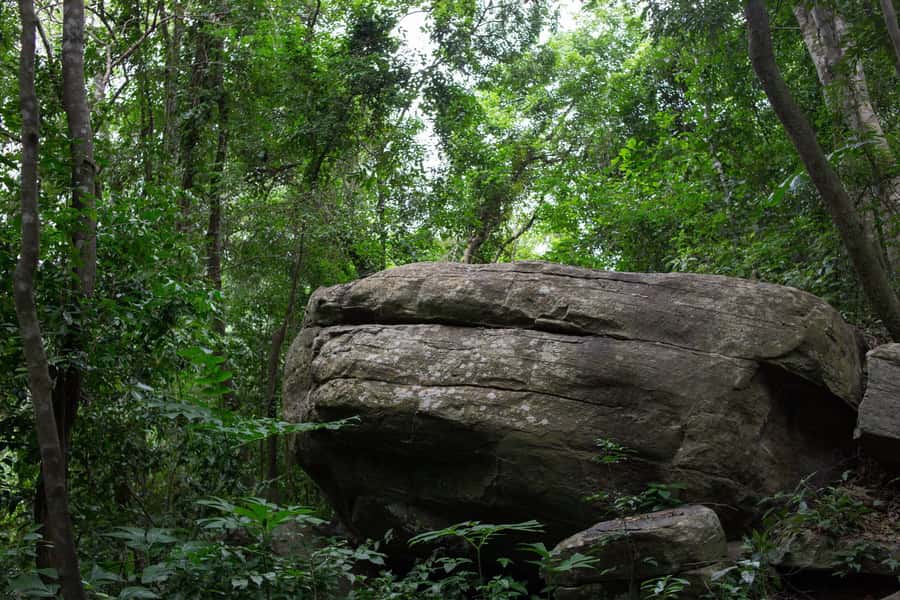 Discover Nature at Shai Hills - Adventure Full Day Trip - The 3-hour guided reserve tour that does the heavy lifting