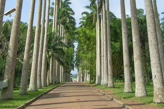 Escape Accra City to Aburi Gardens and Tetteh Quarshie Cocoa Farms - Why Aburi Gardens makes this cocoa trip feel like more than a drive out of town