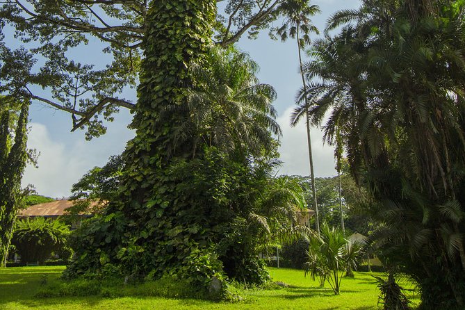 Escape Accra City to Aburi Gardens and Tetteh Quarshie Cocoa Farms - Stop 3: Aburi Crafts Village souvenirs without turning the day into a shopping marathon