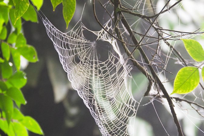 Escape Accra City to Aburi Gardens and Tetteh Quarshie Cocoa Farms - Price and value: what $170 buys in a half-day with admissions included