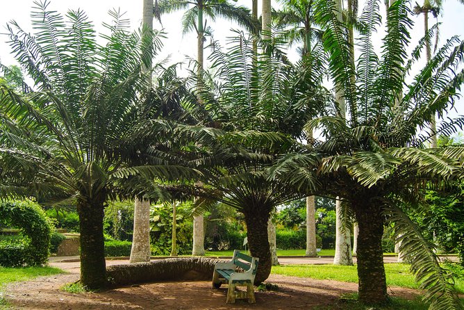 Escape Accra City to Aburi Gardens and Tetteh Quarshie Cocoa Farms - Timing tips that help you enjoy the day instead of managing it