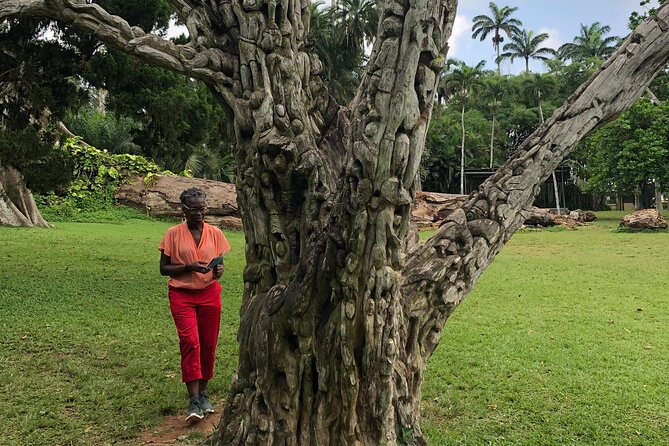 Experience Boti Waterfalls, Aburi Botanical Gardens & Tetteh Quarshie Cocoa Farm - Stop 3: Boti Waterfalls, Umbrella Rock, and the 250m Hillside Climb
