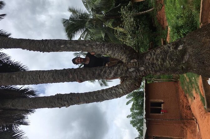 Experience Boti Waterfalls, Aburi Botanical Gardens & Tetteh Quarshie Cocoa Farm - Price and What You Really Get for $175
