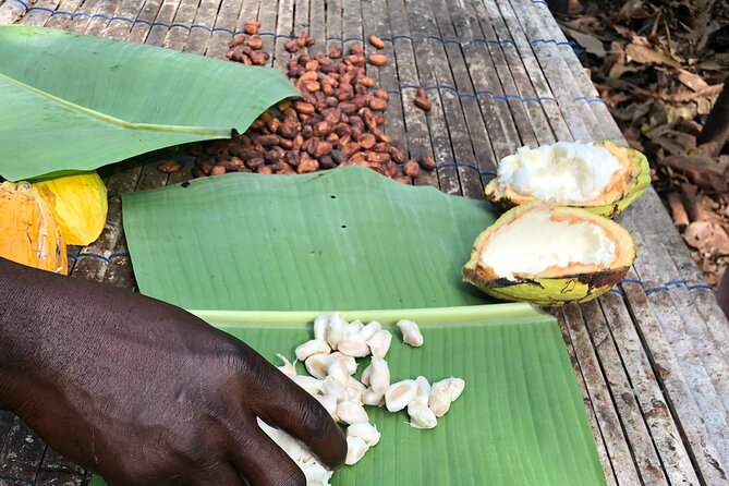 Experience Boti Waterfalls, Aburi Botanical Gardens & Tetteh Quarshie Cocoa Farm - How the Route Works From Accra: Pickup, Timing, and Pace