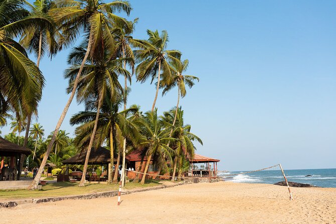 Experience Cape Coast Castle and Kakum National Park - A Full Day That Combines Canopy Walks and Cape Coast Castle’s Holding-Chamber Story