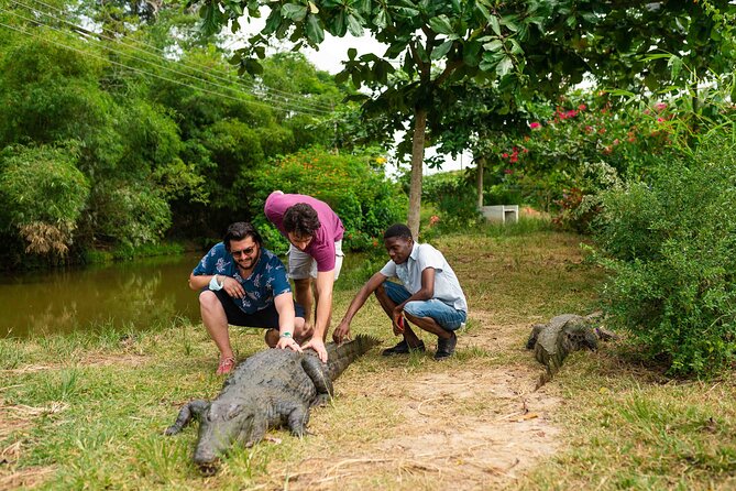 Experience Cape Coast Castle and Kakum National Park - How the 10 to 15 Hour Timing Actually Feels From Accra