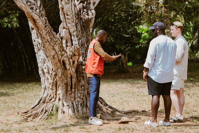 Explore Aburi Botanical Gardens And Boti Falls - A Three-Stop Nature Day That Feels Balanced, Not Rushed