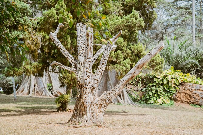 Explore Aburi Botanical Gardens And Boti Falls - Aburi Botanical Gardens: Where the Day Gets Slower and Smarter