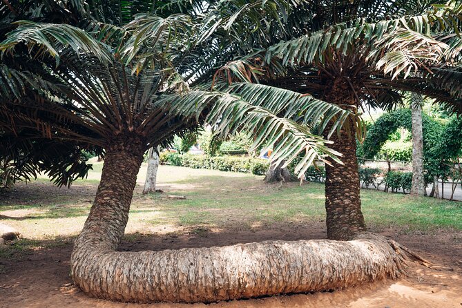 Explore Aburi Botanical Gardens And Boti Falls - Getting Ready: What to Bring for Water, Rock, and Gardens