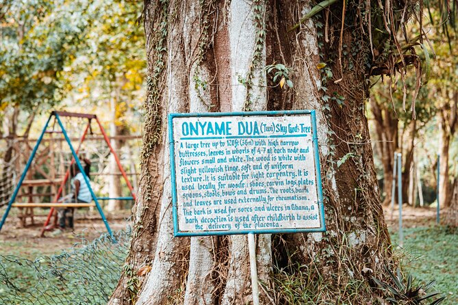 Explore Aburi Botanical Gardens And Boti Falls - Who This Tour Suits Best (And Who Should Think Twice)