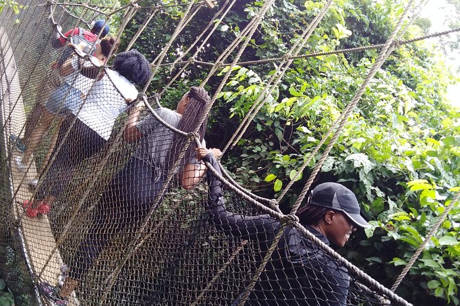Full- Day Cape Coast Castles and Kakum Canopy Private Tour - Who this tour fits best