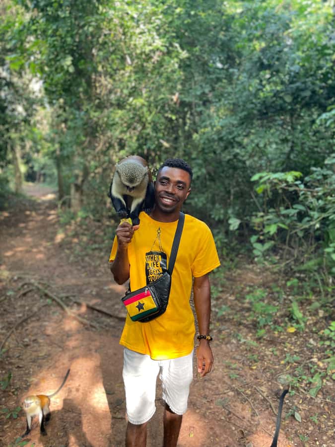 Ghana: 2-Day Monkey Sanctuary, Waterfall and Hiking Tour - Tafi Atome Monkey Sanctuary: sacred grove rules and real wild Mona monkeys