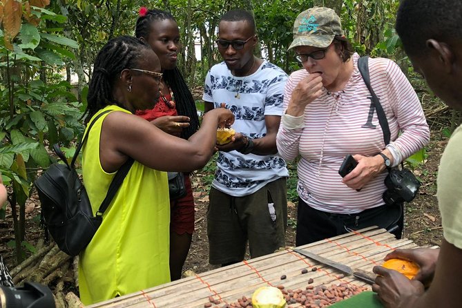 Ghana Eastern Explorer - Boti Falls, Aburi Gardens & Tetther Quarshie Cocoa Farm - Key reasons this day trip works