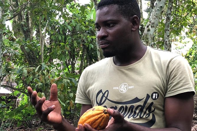 Ghana Eastern Explorer - Boti Falls, Aburi Gardens & Tetther Quarshie Cocoa Farm - Tetteh Quarshie Avenue and the cocoa farm connection