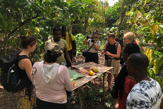 Ghana Eastern Explorer - Boti Falls, Aburi Gardens & Tetther Quarshie Cocoa Farm - The 7:00 am start, pickup at Shoprite Accra Mall, and how the schedule feels