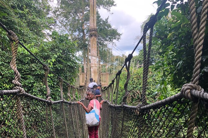 Ghana Private Historic Tour through Castles and Nature - Kakum National Park and the canopy walkway 50 meters up