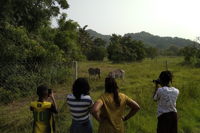 Half-day Accra Safari Tour - Key highlights you should care about