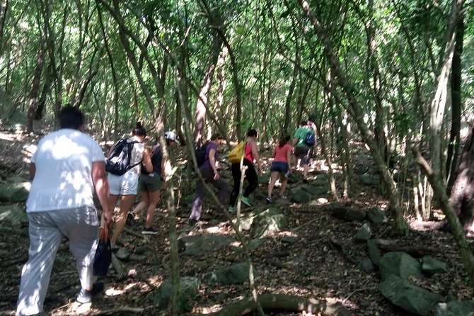 Half-day Accra Safari Tour - Entering Shai Hills: What You Will Actually See