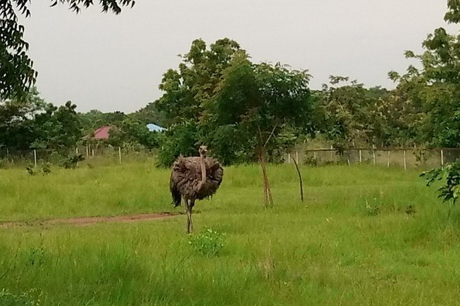Half-day Accra Safari Tour - The Hiking and Climbing Section, and How to Prepare
