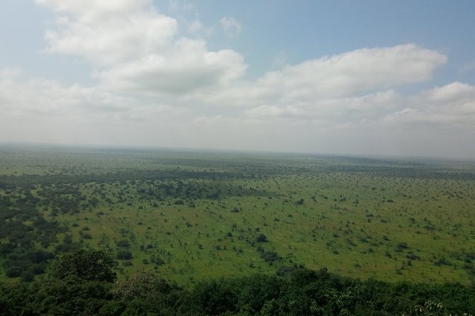 Half-day Accra Safari Tour - Meet Your Driver and Ranger: Why the People Make the Trip