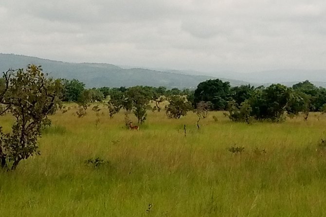 Half-day Accra Safari Tour - Air-Conditioned Comfort and Included Extras That Add Real Value