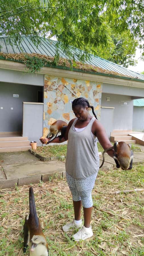 Hike Mount Afadjato and Visit Wli Falls and Monkey Sanctuary - From Accra to the Volta Region: what a 1-day plan like this really means