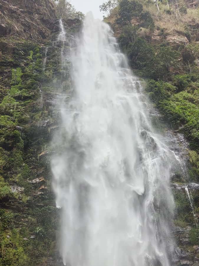 Hike Mount Afadjato and Visit Wli Falls and Monkey Sanctuary - Who should book this trip, and who should skip it