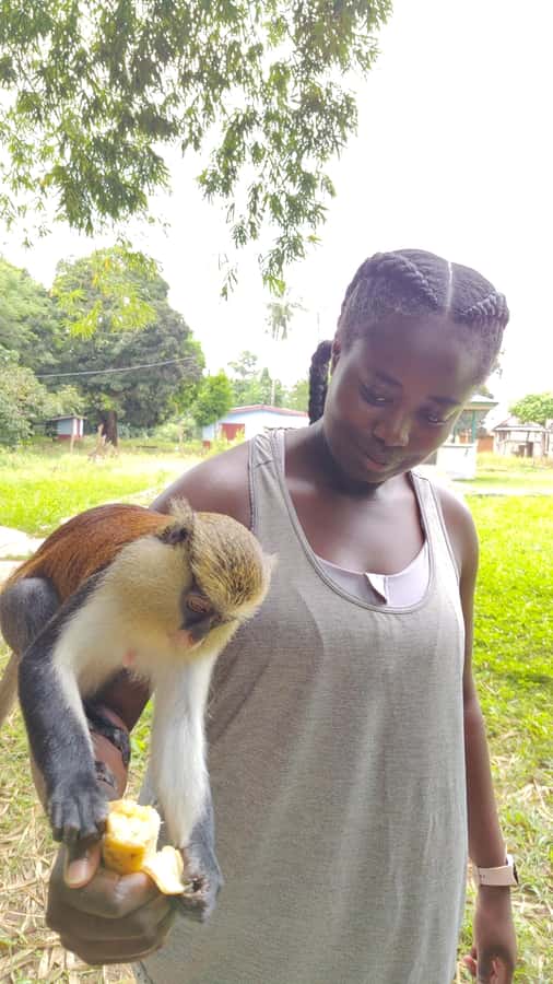 Hike Mount Afadjato and Visit Wli Falls and Monkey Sanctuary - Practical checklist for your day at Mount Afadjato and Wli