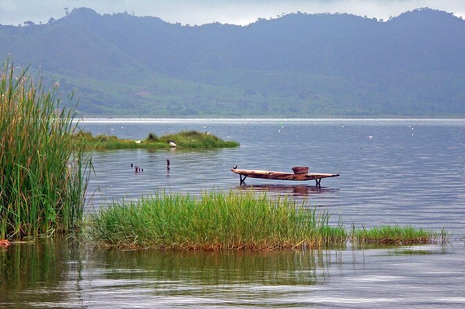 Lake Bosomtwe Boat Cruisely and Kumasi City Tours - Horseback riding at the local stable: what to expect, and how to protect your ride time