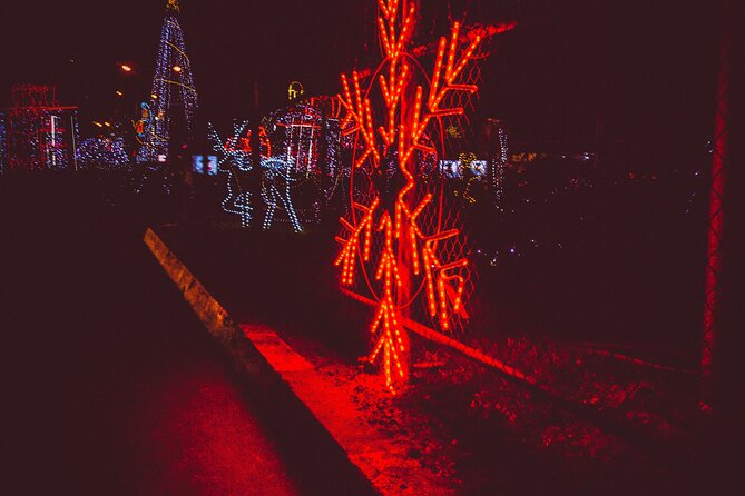 Nightlife Tour in Accra - Sandbox Beach Club, trade neon lights for sea air