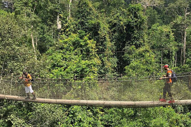 One Day Tour To Cape Coast, Elmina Castle, Kakum National Park - Your private guide, and what you gain beyond the route