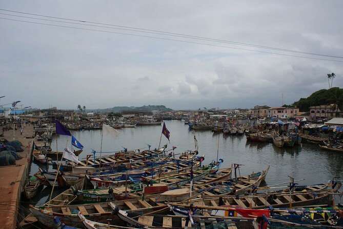 One Day Tour To Cape Coast, Elmina Castle, Kakum National Park - Price and value: is $290 per person fair?