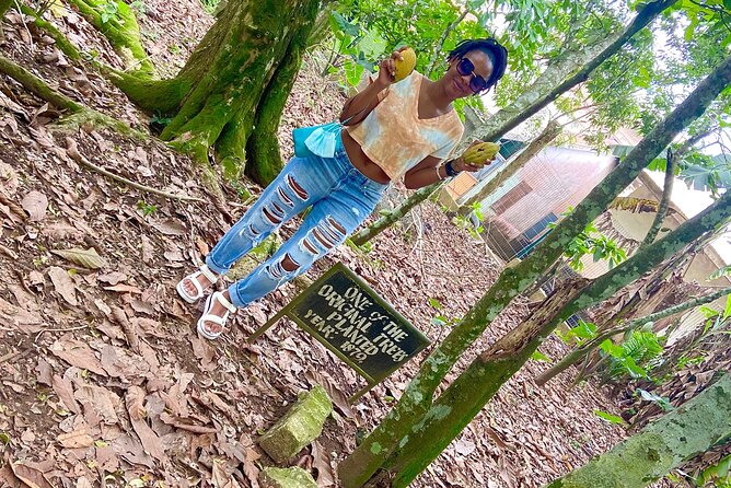 Private Aburi Hill Guided Tour - Stop 3: Tetteh Quashie Cocoa Farm and the cocoa-to-chocolate story