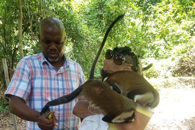Private Full Day Culture and Nature Tour of Cape Coast - Kakum National Park Break: When the Day Turns Green