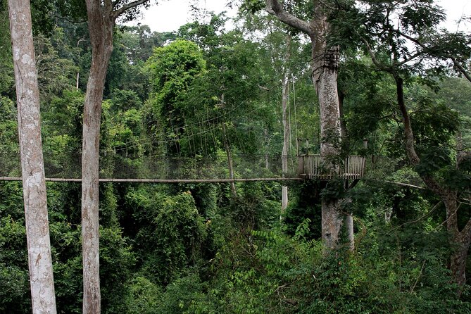 Private Multi-Day Ghana Tour about Culture History and Wildlife - 7 Days - Price and Logistics: What You Pay For, and What to Watch