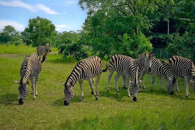 Shai Hills Half Day Accra Safari, Hike & see Animals - Key highlights to look for