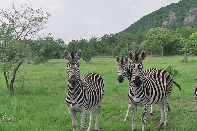 Shai Hills Half Day Accra Safari, Hike & see Animals - Shai Hills Resource Reserve is the short, nature-first safari play