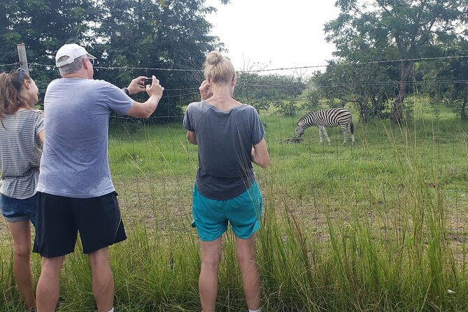 Shai Hills Half Day Accra Safari, Hike & see Animals - Animals you can look for: zebras, baboons, antelope, ostrich, and more