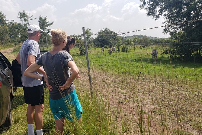 Shai Hills Half Day Accra Safari, Hike & see Animals - Birdwatching you can actually name, from Turacos to Hornbills