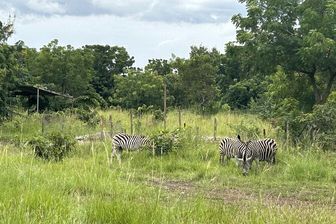 Shai Hills Safari - Hike & See Animals - Why the guides matter: better spotting, better photos, less stress