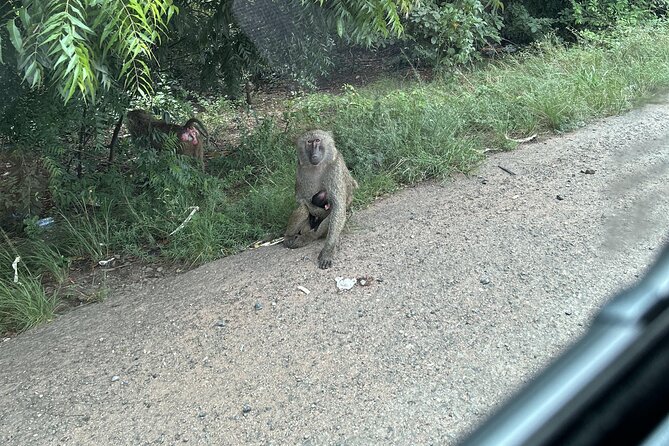 Shai Hills Safari - Hike & See Animals - Group size and comfort: why 15 travelers feels good