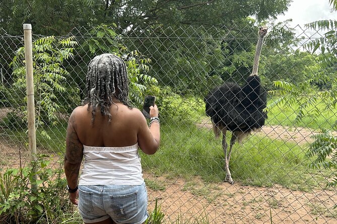 Shai Hills Safari - Hike & See Animals - Photo tips that actually work in Shai Hills
