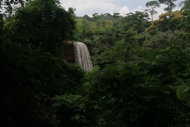 The Botanical Gardens and Water Falls Experience - Private Tour - Private pickup and timing: what a 5 to 7 hour loop feels like