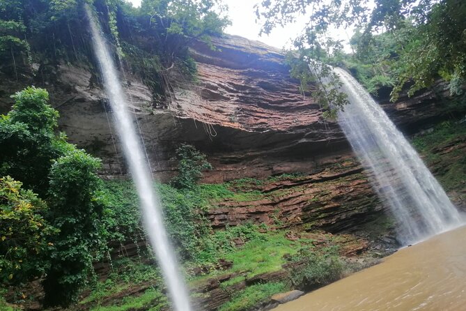 The Botanical Gardens and Water Falls Experience - Private Tour - Aburi Botanical Gardens: spice trees, aromatics, and the guided walkthrough