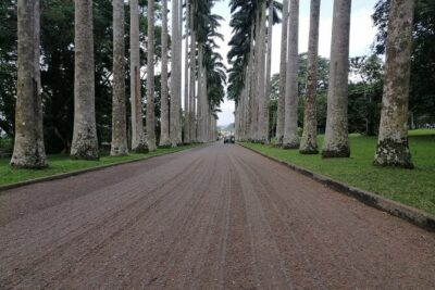 The Botanical Gardens and Water Falls Experience – Private Tour