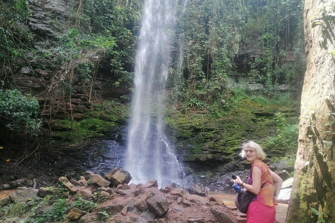 The Botanical Gardens and Water Falls Experience - Private Tour - Asenema Hideout Falls: the quick stop that can feel like a secret